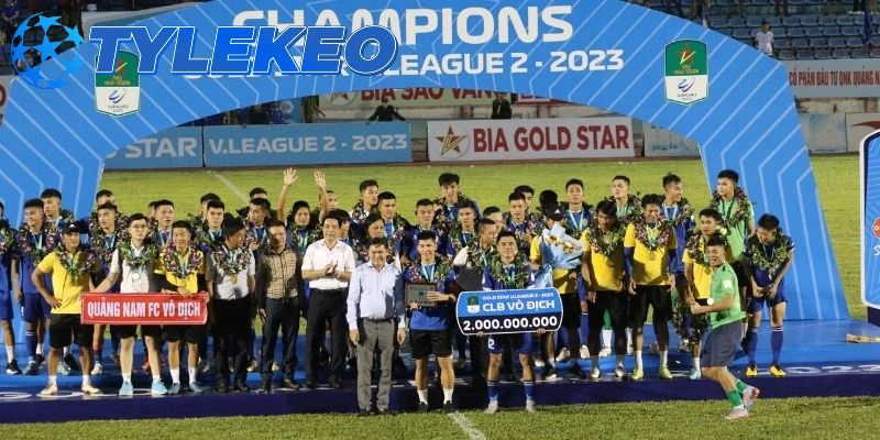 Cấu trúc thi đấu của Hạng nhất VN 